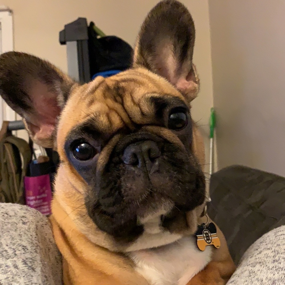 Meet your Posher, Katie